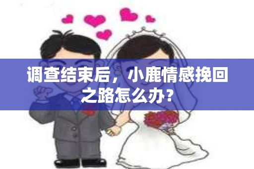 调查结束后，小鹿情感挽回之路怎么办？