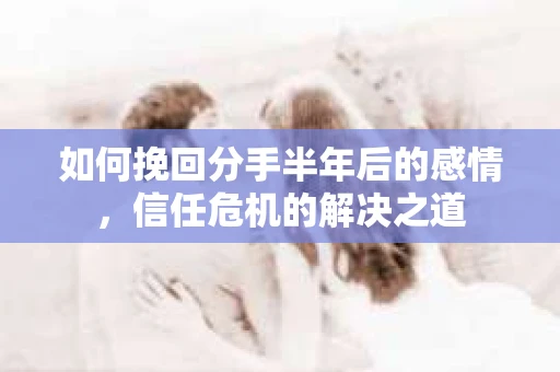 如何挽回分手半年后的感情，信任危机的解决之道