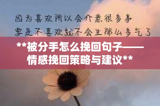 **被分手怎么挽回句子——情感挽回策略与建议**