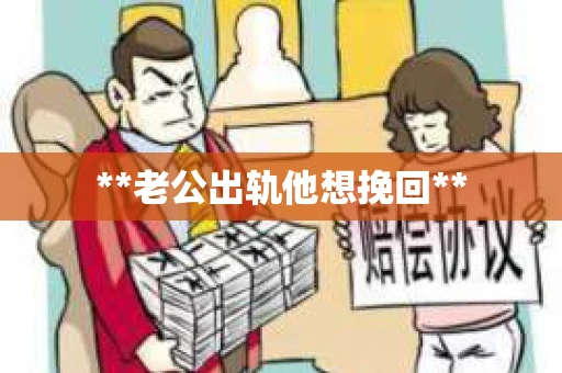 **老公出轨他想挽回**