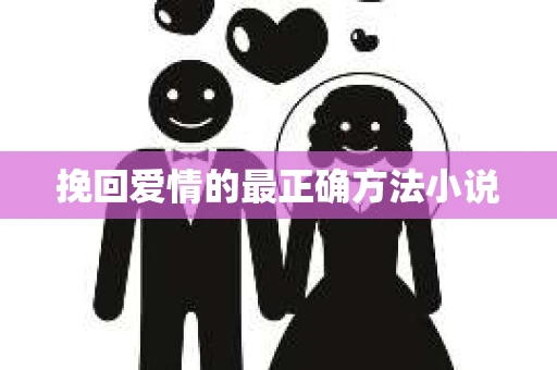 挽回爱情的最正确方法小说