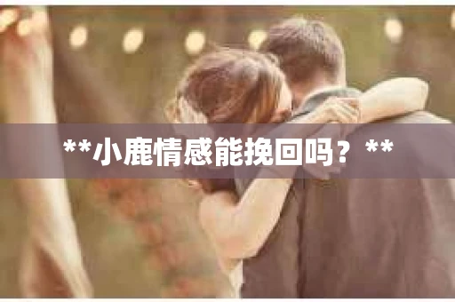 **小鹿情感能挽回吗？**