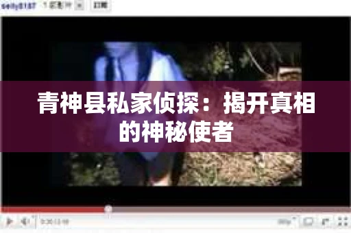 青神县私家侦探：揭开真相的神秘使者