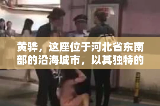 黄骅，这座位于河北省东南部的沿海城市，以其独特的地理位置和丰富的历史文化而闻名。然而，在这座城市中，还有一群人，他们以另一种方式默默守护着社会的公平与正义——私家侦探。今天，我们就来聊聊黄骅的私家侦探，看看他们是如何在这个城市中发挥作用的。