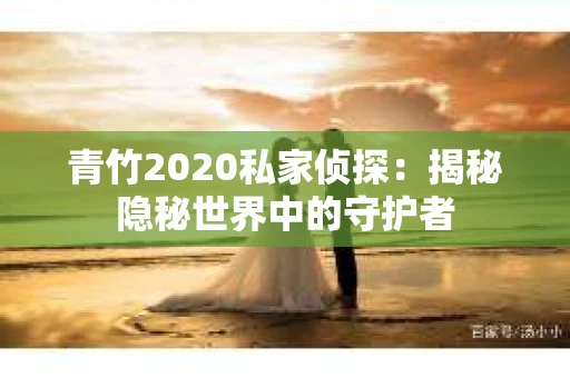 青竹2020私家侦探：揭秘隐秘世界中的守护者