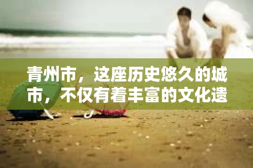 青州市，这座历史悠久的城市，不仅有着丰富的文化遗产，也有着现代生活的便捷。那么，问题来了——青州市有私家侦探公司吗？这个问题，对于需要侦探服务的人来说，无疑至关重要。接下来，我就来为大家揭开这个谜底。