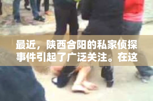 最近，陕西合阳的私家侦探事件引起了广泛关注。在这个信息爆炸的时代，隐私保护显得尤为重要。今天，我们就来聊聊这个事件，看看它背后的一些故事。