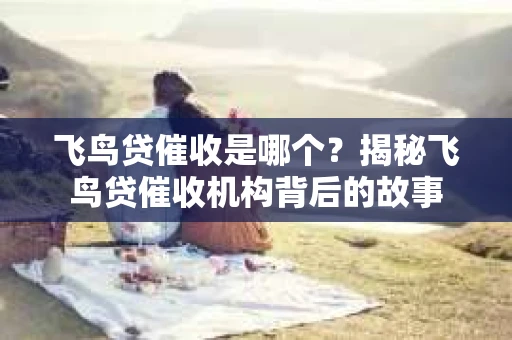 飞鸟贷催收是哪个？揭秘飞鸟贷催收机构背后的故事