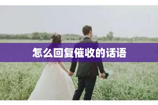 怎么回复催收的话语