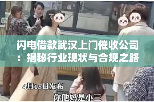 闪电借款武汉上门催收公司：揭秘行业现状与合规之路