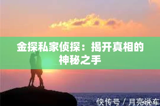 金探私家侦探：揭开真相的神秘之手