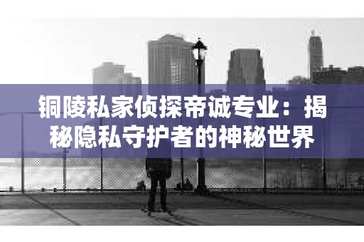 铜陵私家侦探帝诚专业：揭秘隐私守护者的神秘世界