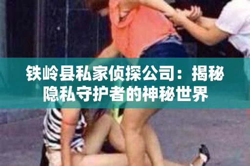铁岭县私家侦探公司：揭秘隐私守护者的神秘世界