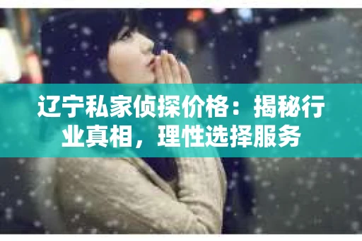 辽宁私家侦探价格：揭秘行业真相，理性选择服务