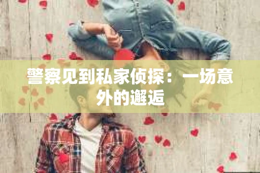 警察见到私家侦探：一场意外的邂逅