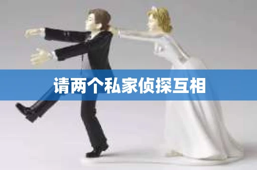 请两个私家侦探互相