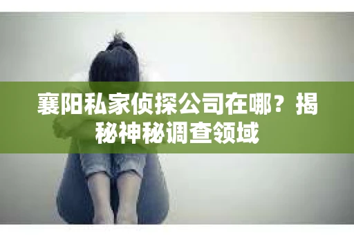 襄阳私家侦探公司在哪？揭秘神秘调查领域