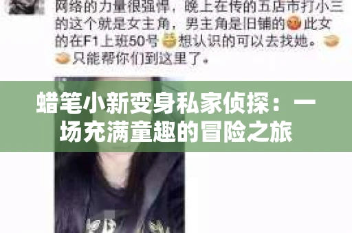 蜡笔小新变身私家侦探：一场充满童趣的冒险之旅