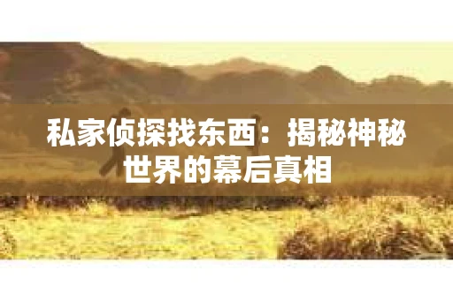 私家侦探找东西：揭秘神秘世界的幕后真相
