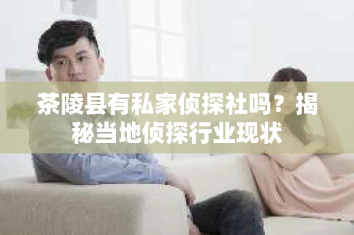 茶陵县有私家侦探社吗？揭秘当地侦探行业现状