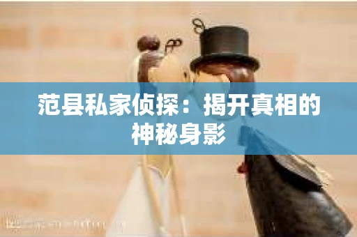 范县私家侦探：揭开真相的神秘身影