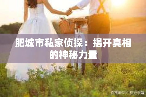 肥城市私家侦探：揭开真相的神秘力量