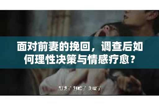 面对前妻的挽回,调查后如何理性决策与情感疗愈? 面对前妻的挽回,调查后如何理性决策与情感疗愈?