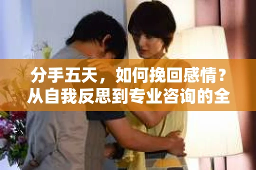 分手五天，如何挽回感情？从自我反思到专业咨询的全面解决方案