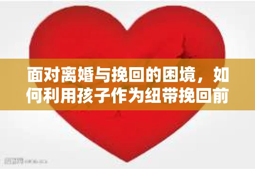 面对离婚与挽回的困境，如何利用孩子作为纽带挽回前夫的技巧？