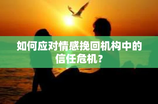 如何应对情感挽回机构中的信任危机？