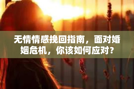 无情情感挽回指南，面对婚姻危机，你该如何应对？