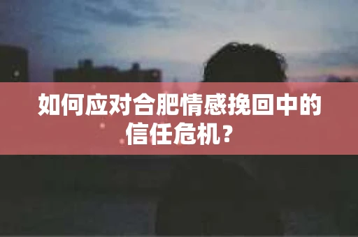 如何应对合肥情感挽回中的信任危机？