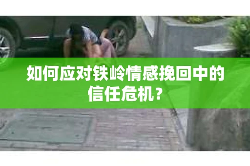 如何应对铁岭情感挽回中的信任危机？