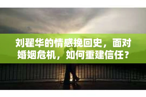 刘翟华的情感挽回史，面对婚姻危机，如何重建信任？